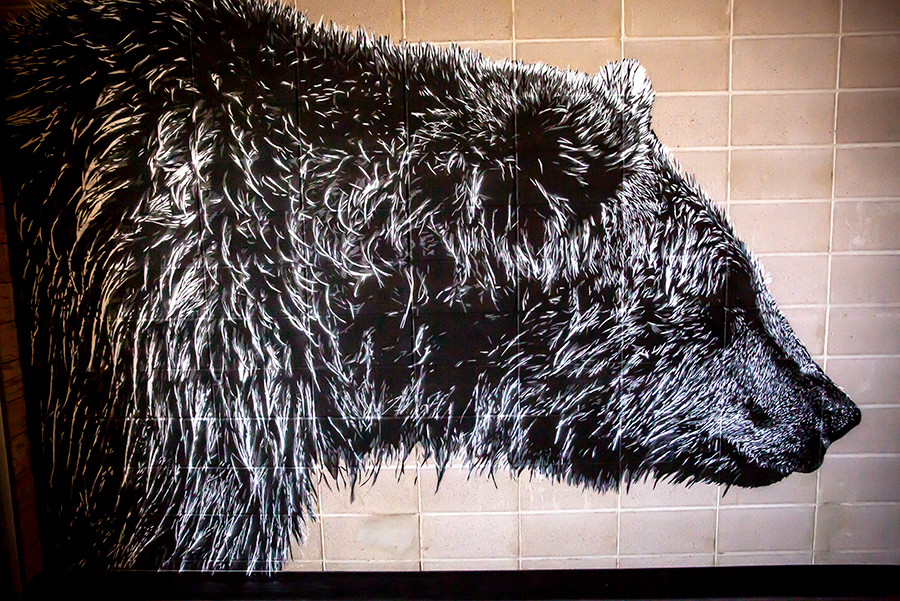 A mural of a grizzly bear inside the Growlery Beer Co.
