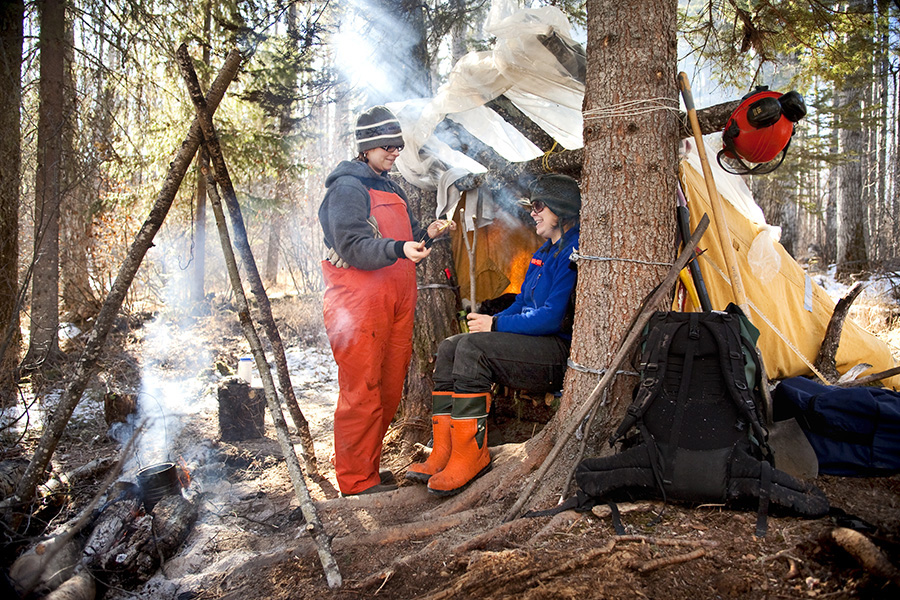Forest tech survival camp