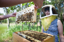Jocelyn Crocker at her backyard beehive.