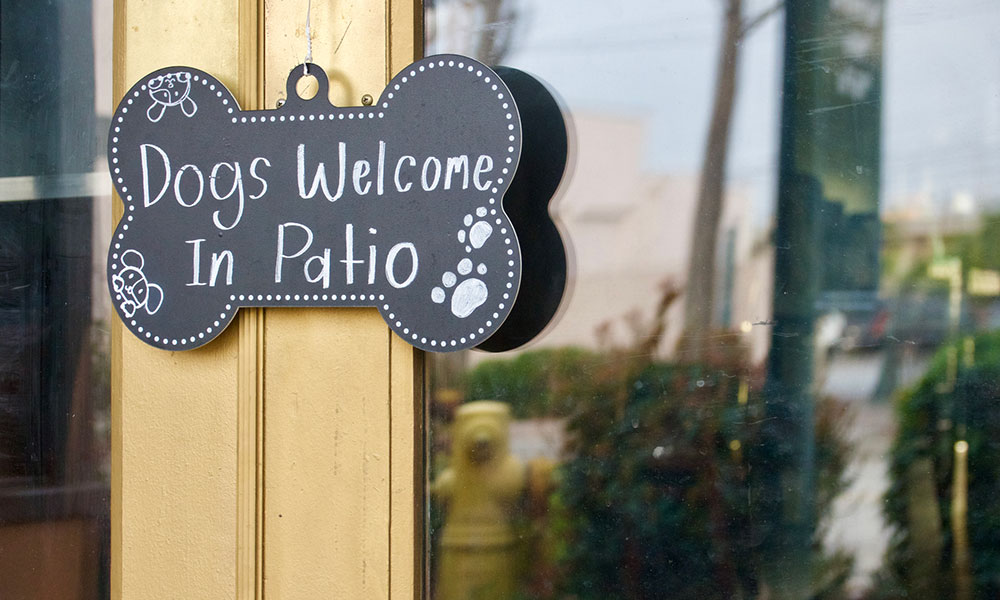 sign reading, dogs welcome in patio, at restaurant