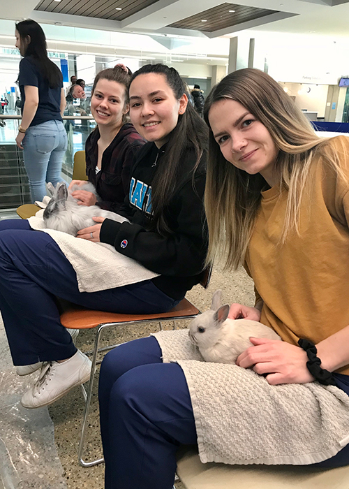 women students with rabbits at NAIT campus