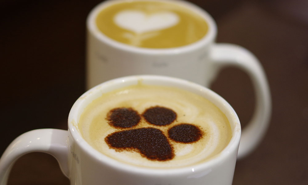 late with paw print art in foam