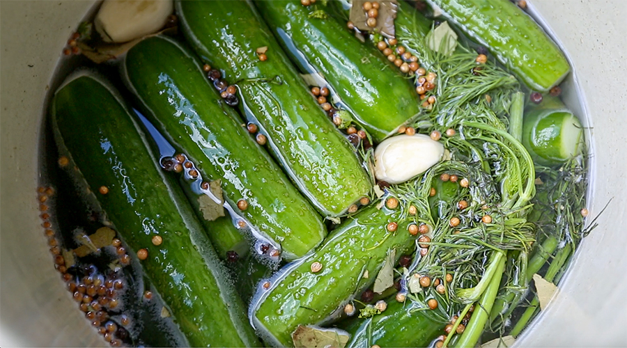 cucumbers in a brine