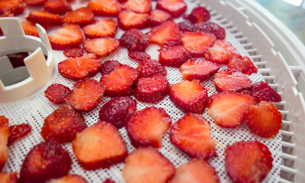 strawberries drying in food dehydrator